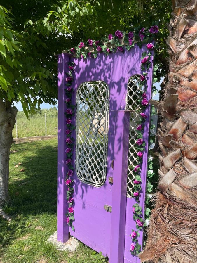 Mama'S Sunshine Garden Villa Agios Ilias  Exterior foto