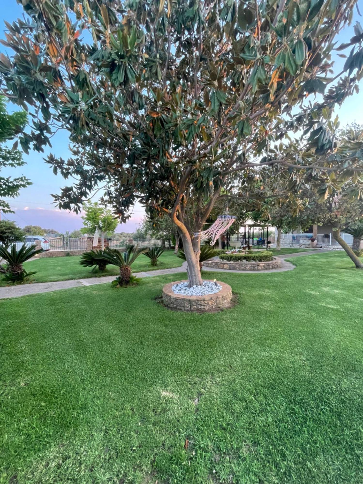 Mama'S Sunshine Garden Villa Agios Ilias  Exterior foto